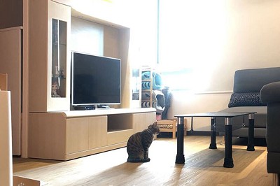 地板大王大里架高地板工程案例